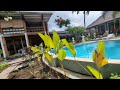 biba beach resort gili air – beachfront bliss u0026 snorkeling paradise