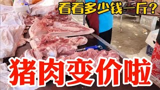 猪肉变价太吓人，看7月6日集市上卖多少钱一斤？大吃一惊~带你们看每天中国菜市场物价【茉茉妈vlog】