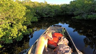 Saltwater Mottled Duck Hunt 2021 -  Deep in the mangroves!