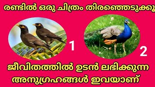 നിങ്ങളുടെ ജീവിതത്തിൽ ഉടനെ വന്നുചേരുന്ന സൗഭാഗ്യങ്ങൾ, അനുഗ്രഹങ്ങൾ