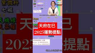 #天府在巳 #2025運勢提點【2025乙巳年天運啟示錄暨流年命宮在巳12組命盤】 #2025流年運勢 #2025流年四化 #2025 #2025紫微流年運勢 #chinese astrology