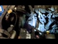 Toyota Sequoia 4.7  V8 Bad Water Pump Noise