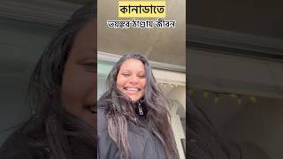 কানাডাতে ভয়ঙ্কর তুষারপাতের পর রোদ উঠল অবশেষে | Snowfall in Canada #banglavlog #minivlog #snowfall