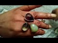 asmr show u0026 tell favorite rings with stones whispering gum chewing u0026 more