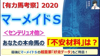 【マーメイドステークス2020 有力馬考察】センテリュオ他 人気馬5頭を徹底考察！