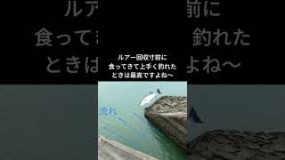 増水パターンで外せない場所