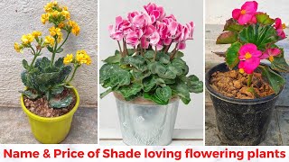 Shade loving Flowering plants | छाया में या बिना धुप के फूल देने वाले पौधों के नाम