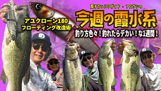 釣れ方色々！釣れたらデカい！な1週間！『霞オカッパリガイド・アユサンの今週の霞水系』