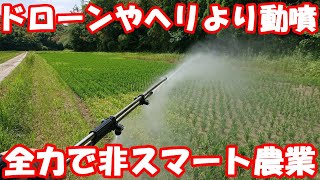 圃場次第では動噴が有利に？ドローンやヘリに対する優位性とは。いもち予防