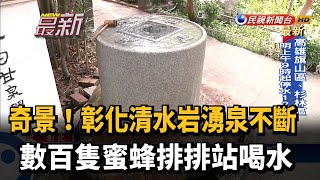 彰化清水岩湧泉不斷 百隻蜜蜂排排站喝好水－民視新聞