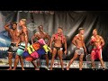 andrew conroy – competitor no 169 – men short sports model wff world championship 2017