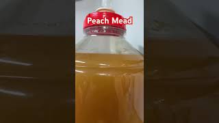 Peach Mead 1 Week #alcohol #Honey Wine