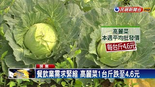 疫情傷菜價! 高麗菜農開放民眾便宜採－民視新聞