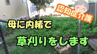 認知紹介護　庭の草がボウボウになってしまいました（泣）