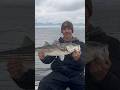 Chasing ROCKFISH On The Chesapeake Bay!