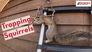 Trapping Squirrels in Deatsville, Alabama!