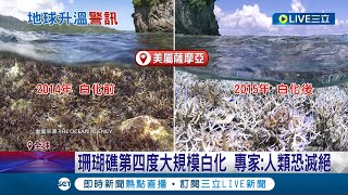 珊瑚礁第四度大規模白化 專家:人類恐滅絕！ 全球升溫1.5度 陸海\