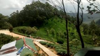 Video panorama from atop Lipton's seat, Haputale.