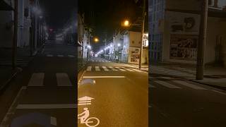 愛媛県の夜間点滅信号　その15