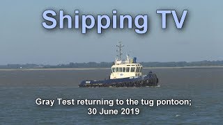 Tug Gray Test  returns to the pontoon, 30 June 2019