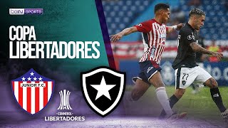 Junior (COL) vs Botafogo (BRA) | LIBERTADORES HIGHLIGHTS | 05/28/2024 | beIN SPORTS USA