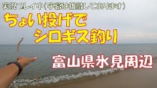 ちょい投げシロギス釣り・富山県氷見周辺の砂浜