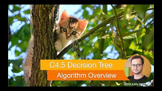 The Math Behind C4.5 Decision Tree Algorithm