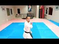 hyaku hachiho wkf shotokan suparenpei version part 1