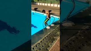 कडक थंडीत पोहण्याची मजाच वेगळी.. Pune Swimming Pool