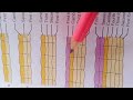 vascular cambium fusiform and ray initial activity of cambium differen porous and non porous wood