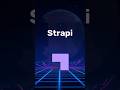 What is Strapi? Headless CMS Explained in 60 Seconds!