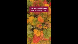 How to Add a Name to the Family Tree