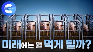 미래에는 고기를 먹기 위해 가축을 키우지 않아도 될까?