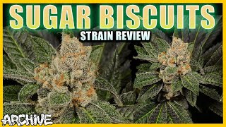 Sugar Biscuits Strain Review | Dosidos X Animal Cookies