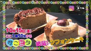 10月15日(金)かごピタ☆絶品シフォンケーキ！