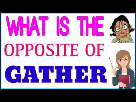 What is opposite word of gather?