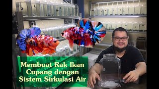 Cara Membuat Rak Ikan Cupang (Betta Fish Rack System) dengan Sistem Sirkulasi Air