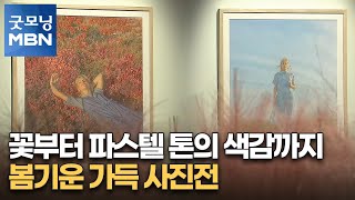 꽃부터 파스텔 톤의 색감까지…봄기운 가득 사진전 [굿모닝 MBN]