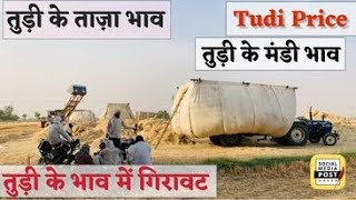 Tudi Price Updated|तुड़ी के ताज़ा भाव | तुड़ी के भाव में गिरावट |ਤੂੜੀ ਦੇ ਰੇਟ| Mandi Prices of Tudi|