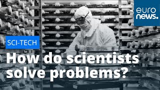 The Scientific Method: How scientists solve problems