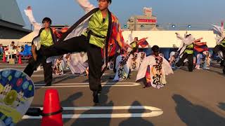 岡山うらじゃ連 翠嵐 銭形よさこい2018 ステージ会場