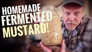 Homemade Fermented Mustard!