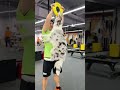 行动！crossfit 机车狗 狗子坐摩托车 陨石边牧 rhinoandhisfriends