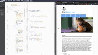 CSS Interactivity with Pseudo Classes