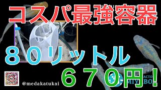 【激安めだか飼育容器】めだかの飼育！ブリード！隔離！採卵！親抜き！全部できます💪