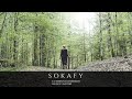 Sarindra - Sokafy