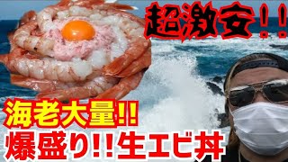 京都で激安爆盛り痛風海鮮丼！【夢の爆盛り生エビ丼定食】Kyoto gourmet