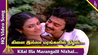 Kilai Illaa Video Song | Kilinjalgal Tamil Movie Songs | Mohan | Poornima Bhagiyaraj