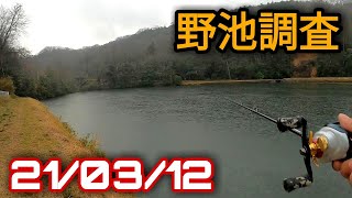 野池調査　21/03/12　バス釣り　岡山県