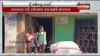 Family seeks financial help from government for treatment of son in Nayagarh | Kalinga TV